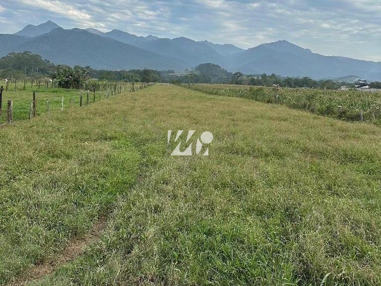 Terreno em Sul do Rio, Santo Amaro da Imperatriz. 0 quartos, 14449m². Imagem 4 de 4